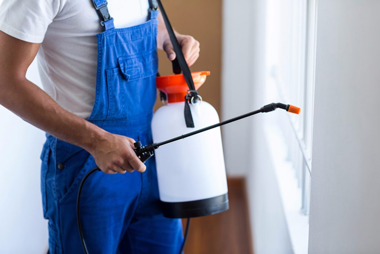 Pest Control Services In Delhi